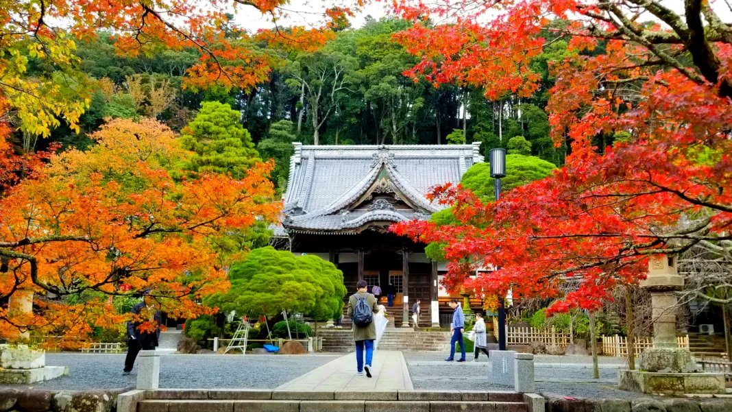 ⛩️ 슈젠지 (修禅寺) 이미지 8